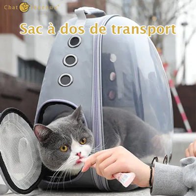 Sac à dos de transport pour chat - Chatleureux